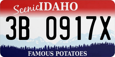ID license plate 3B0917X