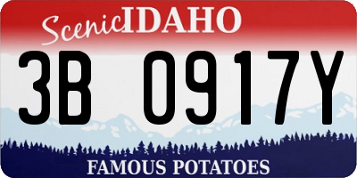 ID license plate 3B0917Y