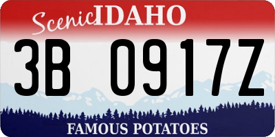 ID license plate 3B0917Z