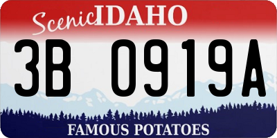 ID license plate 3B0919A