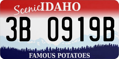 ID license plate 3B0919B