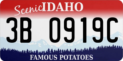 ID license plate 3B0919C