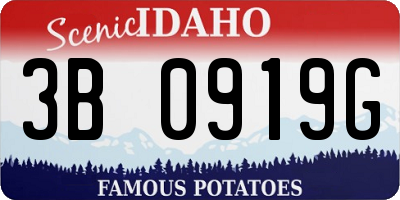 ID license plate 3B0919G
