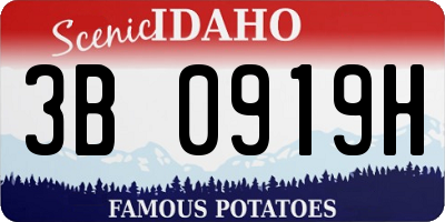ID license plate 3B0919H