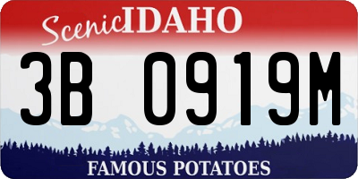 ID license plate 3B0919M