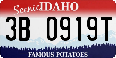 ID license plate 3B0919T