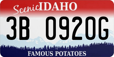 ID license plate 3B0920G