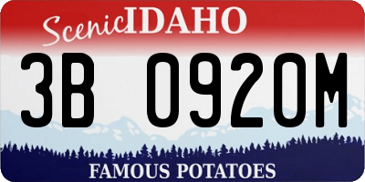 ID license plate 3B0920M