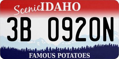 ID license plate 3B0920N