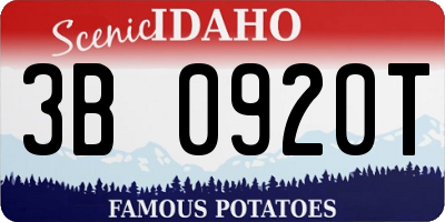 ID license plate 3B0920T