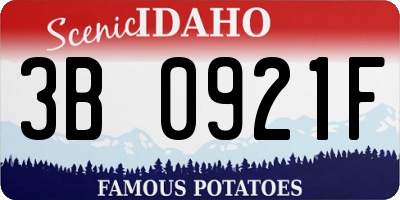 ID license plate 3B0921F
