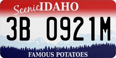 ID license plate 3B0921M