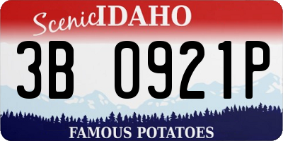 ID license plate 3B0921P