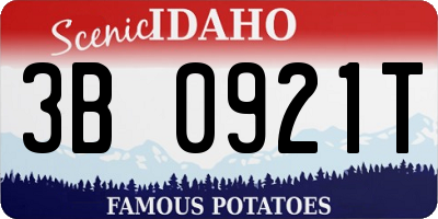 ID license plate 3B0921T
