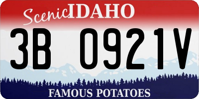 ID license plate 3B0921V