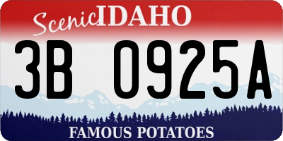 ID license plate 3B0925A