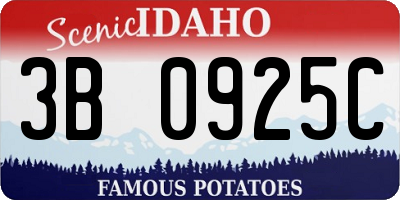 ID license plate 3B0925C