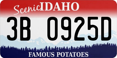 ID license plate 3B0925D