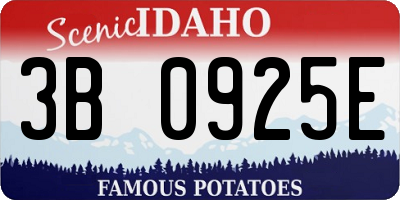 ID license plate 3B0925E