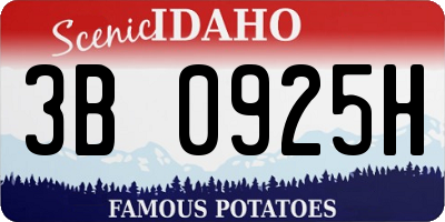 ID license plate 3B0925H