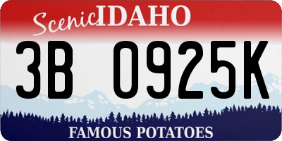 ID license plate 3B0925K