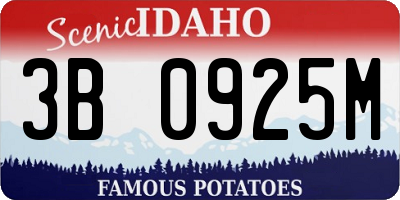 ID license plate 3B0925M