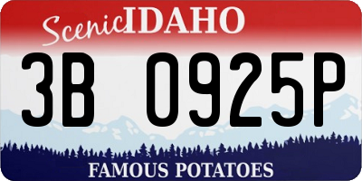 ID license plate 3B0925P