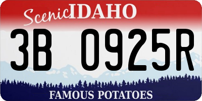 ID license plate 3B0925R