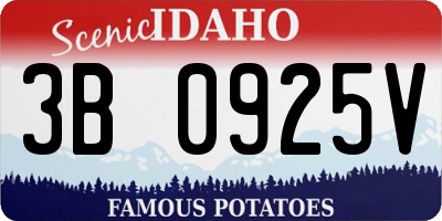 ID license plate 3B0925V