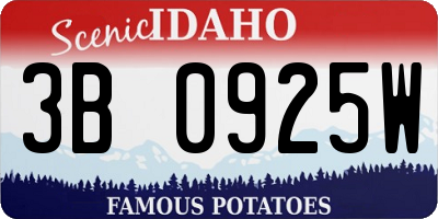 ID license plate 3B0925W