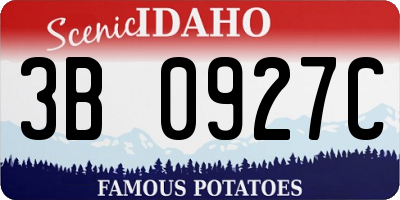 ID license plate 3B0927C