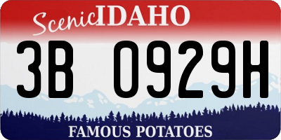 ID license plate 3B0929H