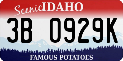 ID license plate 3B0929K