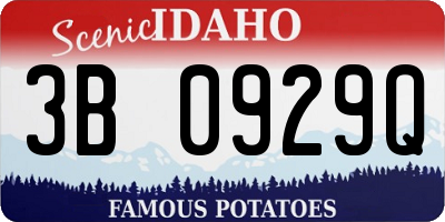 ID license plate 3B0929Q