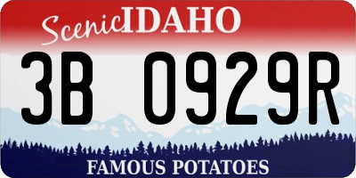 ID license plate 3B0929R