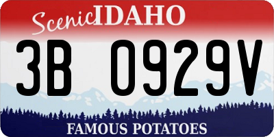 ID license plate 3B0929V