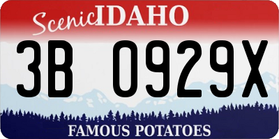 ID license plate 3B0929X