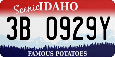 ID license plate 3B0929Y