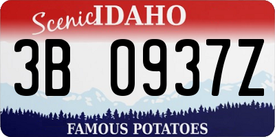 ID license plate 3B0937Z