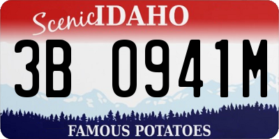 ID license plate 3B0941M