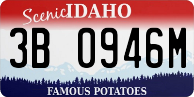 ID license plate 3B0946M