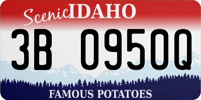 ID license plate 3B0950Q