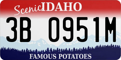 ID license plate 3B0951M