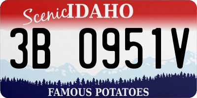 ID license plate 3B0951V