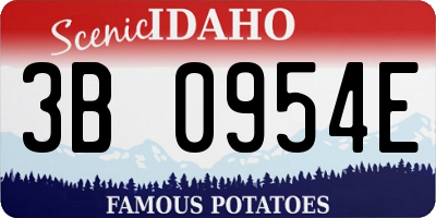 ID license plate 3B0954E