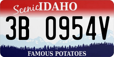 ID license plate 3B0954V