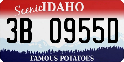 ID license plate 3B0955D