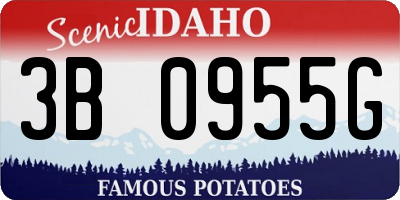 ID license plate 3B0955G