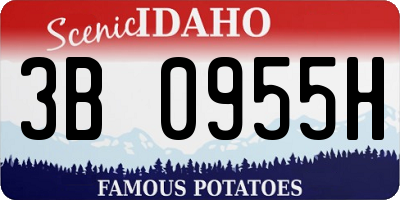 ID license plate 3B0955H