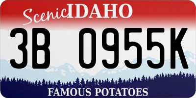 ID license plate 3B0955K